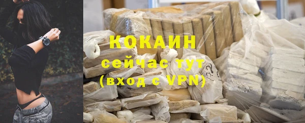 apvp Дмитровск