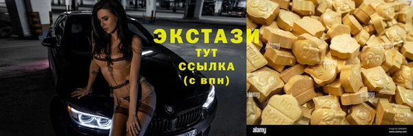 spice Гусев