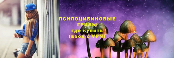 не бодяженный Гусиноозёрск