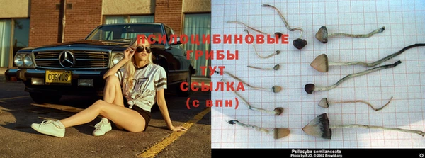 не бодяженный Гусиноозёрск