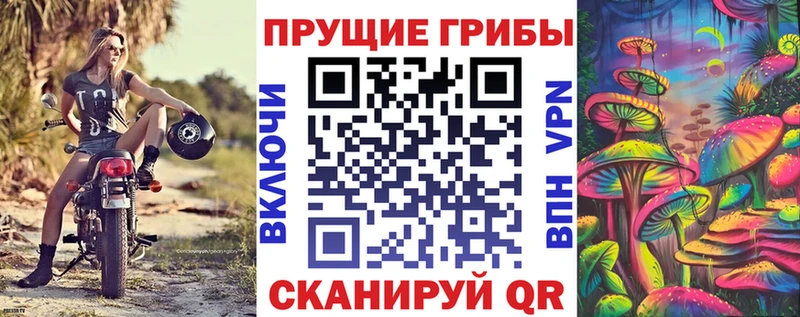 Галлюциногенные грибы MAGIC MUSHROOMS Козловка