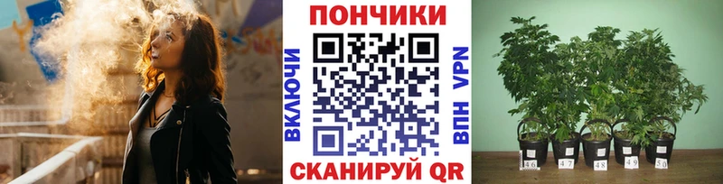 Купить закладки  Козловка  Конопля VHQ 